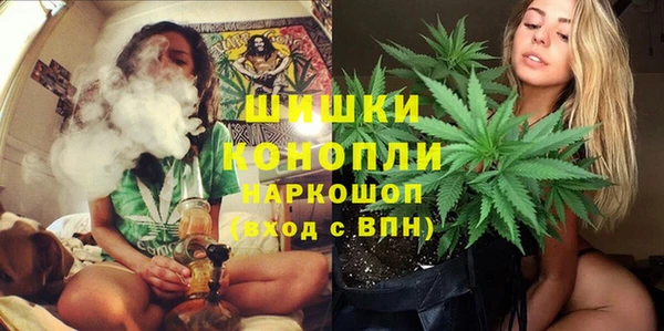 spice Зеленодольск