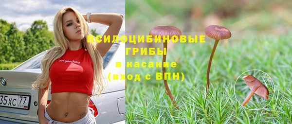 соль ск Зерноград